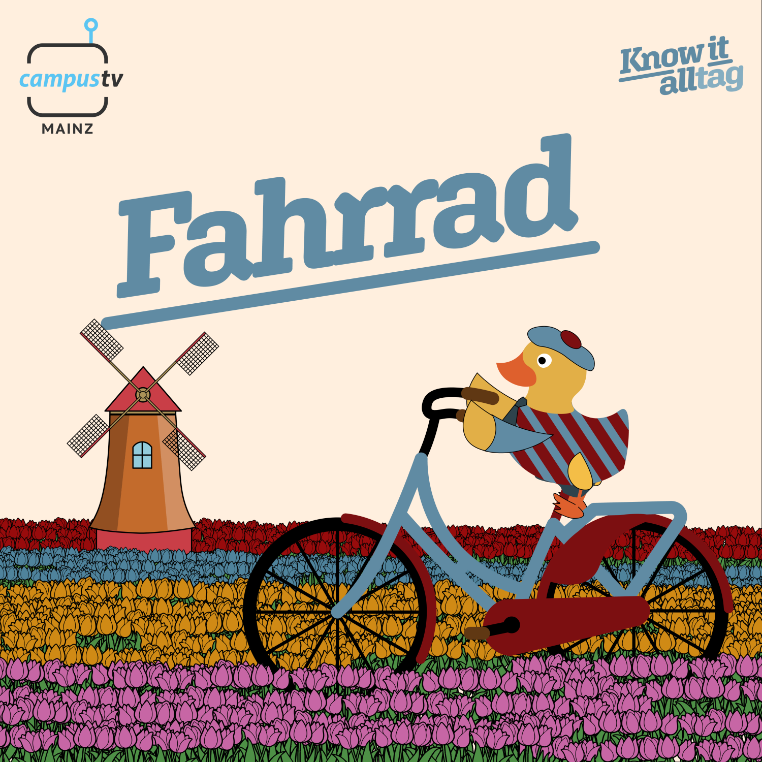 Know it Alltag #11: Das Fahrrad episode artwork